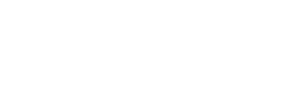 BMS Custom System